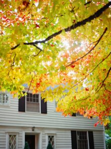 Image of home with fall leaves to convey the importance of Schaumburg heating